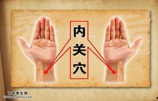 成人脏腑针灸视频讲解,揭秘传统中医养生之道