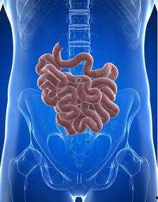 成人肠管扩张视频教程,成人肠管扩张操作步骤详解