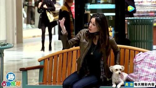 小偷变成人偶的视频,小偷变身奇遇记