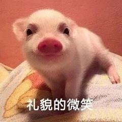 成人猪猪短视频下载,轻松获取成人内容