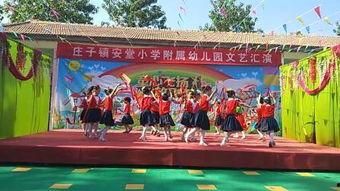 丹桂园成人跳舞视频,翩翩起舞，共享欢乐时光