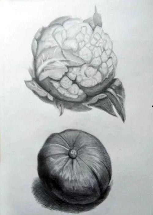 成人铅笔画素描视频,跟随视频学习专业绘制方法