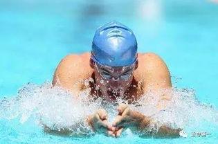 蛙泳比赛视频成人教学,成人蛙泳入门技巧解析