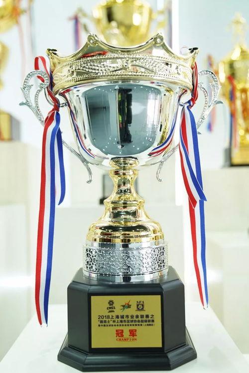 成人获得荣誉视频,成人成就荣誉视频集锦