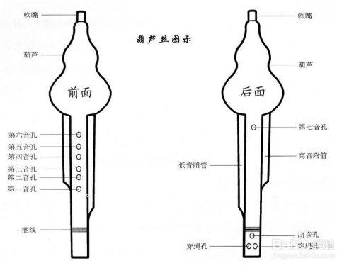 成人葫芦丝自学视频,轻松入门，乐享悠扬旋律之旅