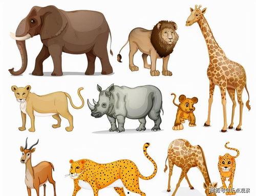 动物变成人实例分析视频,视频揭秘神奇生物进化之旅