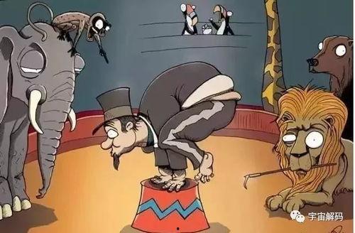 动物变成人实例分析视频,视频揭秘神奇生物进化之旅