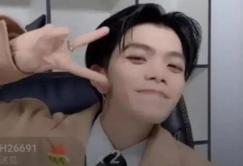 成人粉色视频观看,一场视觉与情感的盛宴