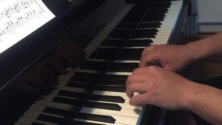男子成人钢琴视频大全,男子成人钢琴演奏精选集