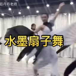 青神成人中国舞视频大全,视频大全中的舞韵人生