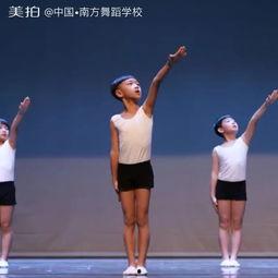 青神成人中国舞视频大全,视频大全中的舞韵人生