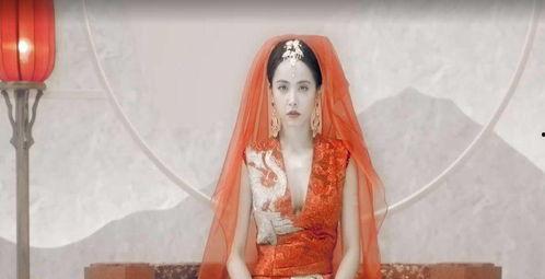 成人仿生人偶视频大全,成人仿生人偶视频大全揭秘