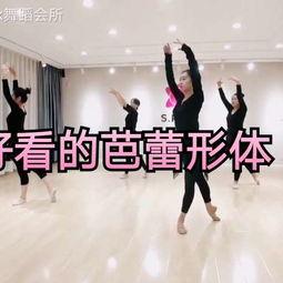 成人舞芭蕾组合视频大全,成人舞者组合视频大全赏析