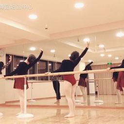 成人舞芭蕾组合视频大全,成人舞者组合视频大全赏析