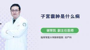 植牙视频成人版,成人版植牙手术全解析