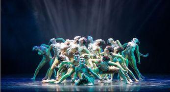 海龟创意画成人舞蹈视频,舞动激情，展现独特魅力