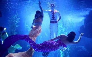 海龟创意画成人舞蹈视频,舞动激情，展现独特魅力