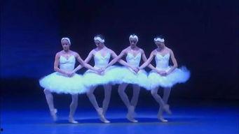 开心旋律成人舞蹈视频,跟随开心旋律，解锁成人舞蹈新境界