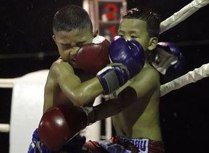 拳击机成人拳击视频,成人拳击机实战视频解析