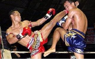 拳击机成人拳击视频,成人拳击机实战视频解析