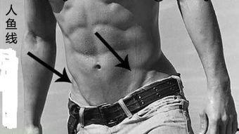 成人腹肌怎样练成视频,跟随视频轻松打造成人完美腹肌