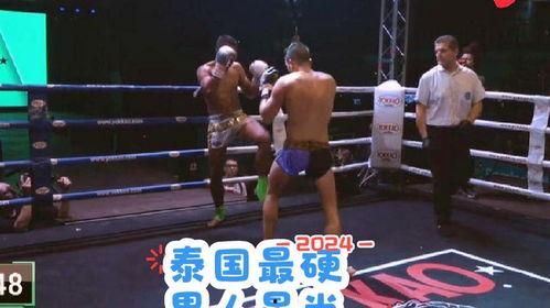 成人自由搏击速成视频,跟随自由搏击视频，快速掌握搏击技巧