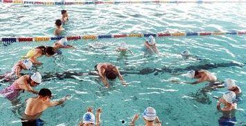 成人游泳班视频教学,成人游泳班入门技巧解析