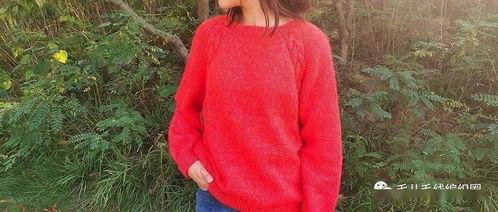 毛衣教程成人 棒针视频,新手必看！棒针毛衣教程视频详解