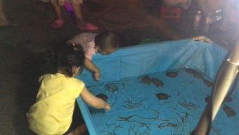 捉泥鳅成人完整视频播放,成人版捉泥鳅视频精彩回顾