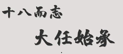 成人如何看道义书法视频,成人视角下的道义书法艺术鉴赏之旅