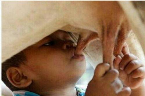 成人男生喝母乳视频,揭秘成人男性饮用母乳的奇特现象